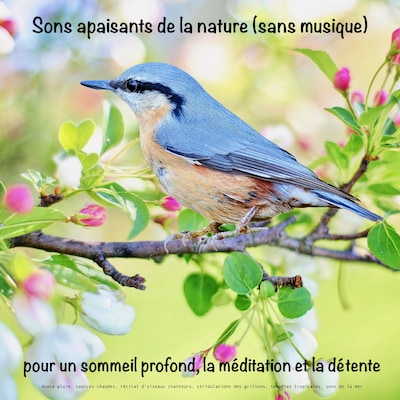 Sons apaisants de la nature (sans musique) pour un sommeil profond, la méditation et la détente