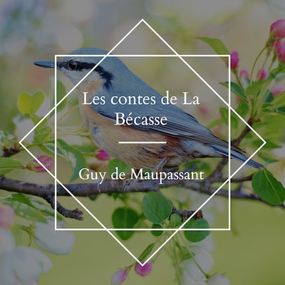 Les contes de La Bécasse