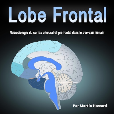 Lobe Frontal: Neurobiologie du cortex cérébral et préfrontal dans le cerveau humain (French Edition)