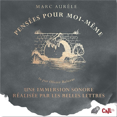 Pensées pour moi-même
