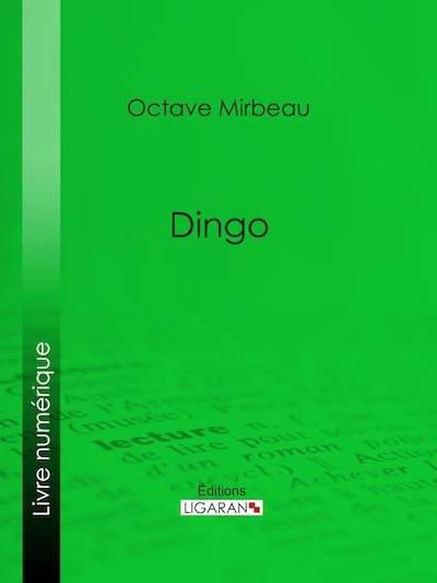 Dingo