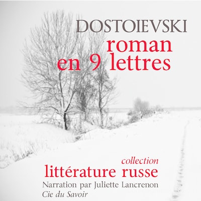 Un roman en neuf lettres