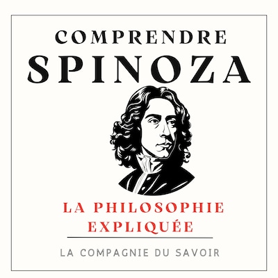 Comprendre Spinoza