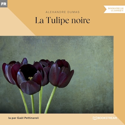 La Tulipe noire