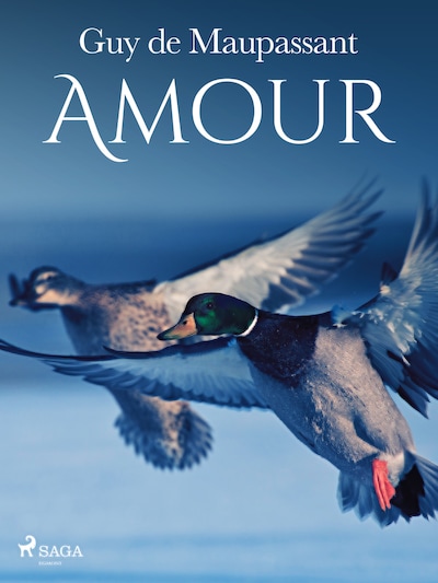Amour