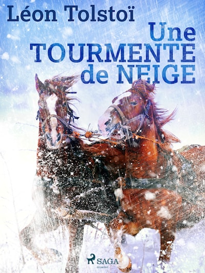 Une tourmente de neige
