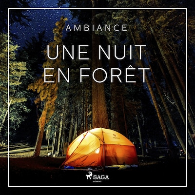 Une nuit en forêt