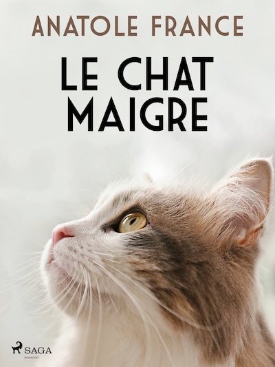 Le Chat maigre