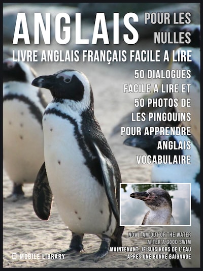 Anglais Pour Les Nulles - Livre Anglais Français Facile A Lire