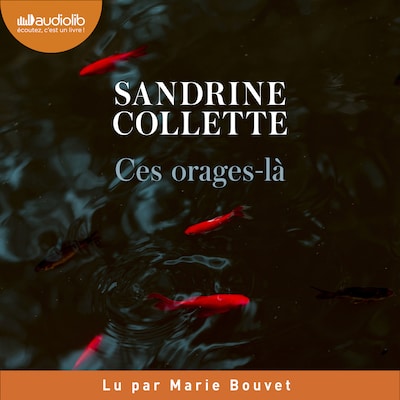 Ces orages-là