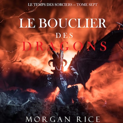 Le Bouclier des Dragons (Le Temps des Sorciers — Tome Sept)